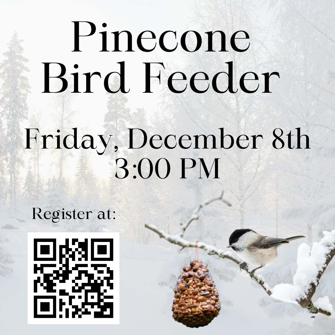 Pinecone Bird Feeder Craft